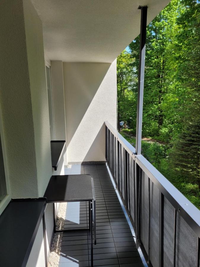 Z Sauna Apartment *