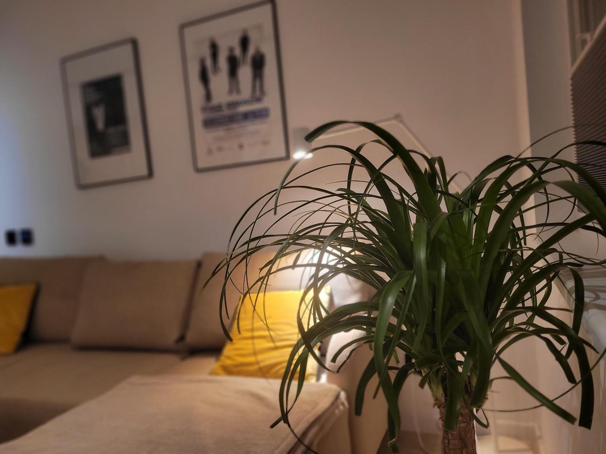 Apartment Z Sauna Polanica-Zdroj